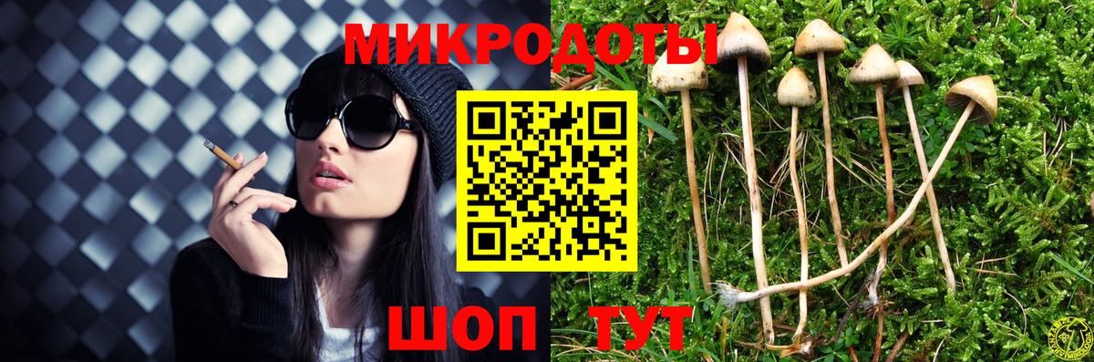 купить закладку  Вход с VPN  Партизанск  Галлюциногенные грибы прущие грибы 